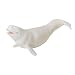 Beluga Calf Whale  Monterey Bay Aquarium  Scale 1 40