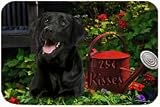 Black Labrador Retriever Tempered Cutting Board 25 Cent Kisses