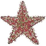 Star Berry Wreath