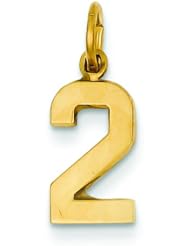 14K Gold Small Polished Number 2 Charm Pendant Jewelry