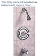 American Standard T215.730.002 Hampton Bath/Shower Trim Kit with Slip On Diverte