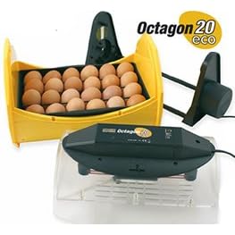 Octagon 20 ECO Incubator with egg turning cradle