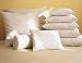 White Feather/Down Pillow Forms White 16 inch Image