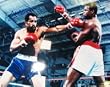 Ken Norton Signed 16X20 Photo - Norton Vs Holmes - Boxing - Authentic Celebrity Autographed