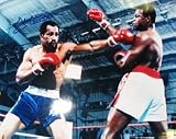 Ken Norton Signed 16X20 Photo  Norton Vs Holmes  Boxing  Authentic Celebrity Autographed
