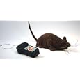 Nasty Hairy Furry 9 inch Remote Controlled Rat
