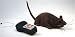 Nasty Hairy Furry 9 inch Remote Controlled Rat