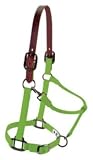 Weaver Graphite Breakaway Halter MD Lime Zest