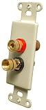 OEM Systems Pro-Wire Jack Plate (2 Solderless Binding Post), Ivory