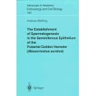 The Establishment of Spermatogenesis in the Seminiferous Epithelium of the Pubertal Golden... by  Andreas Miething