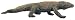 Komodo Dragon