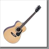 Vintage® V300 Series Acoustic Guitar