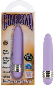 Charisma Mini-Violet Vibe
