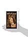 Whirlwind (Shadow Horse Series)
