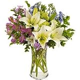 Lilies - Heavenly Blooms