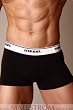 Diesel New Brettu Boxer-Brief (2-Pack) - White/Black
