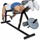 Olympic Style Leg Extension/Curl Machine