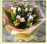 ���}���e�B�b�N�ȃo���u�[�P �y���ԁz�y���j���z�L�O���z�y�a�����z�y�t�����[�M�t�g�z�y�o���z