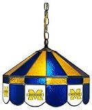 16 Swag Hanging Lamp Light University of Michigan Wolverines - Free Shipping