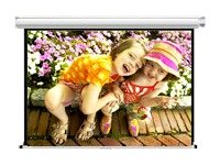 100IN Diagonal Accuscreens HDtv Manual Wall Ceiling 49X87IN