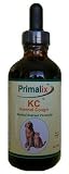 kennel cough 31389%2BQvwiL. SL160 Kennel Cough