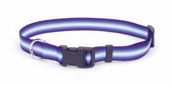 C NYL GRAD COLLAR LG 1