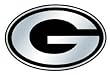 Green Bay Packers Silver Auto Emblem - Football Sports Merchandise