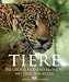 Bücher : Tiere - Die gro&szlig;e Bild-Enzyklop&auml;die. Mit &uuml;ber 2000 Arten