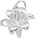 Jewelry : Lily Charm by Rembrandt Charms