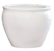 Solid White Porcelain Fishbowl / Jardiniere / Planter / Pot