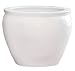 Solid White Porcelain Fishbowl / Jardiniere / Planter / Pot