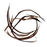 Brown colored 4 x 1/8 to 6-1/2 x 1/8 inch biot Goose (dyed) feather. Sold per pkg of 0.02 ounce & approximately 5 feathers.