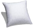 Pinzon Feather and Down Pillow Insert