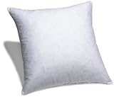 Pinzon Feather and Down Pillow Insert