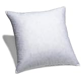 Pinzon Feather And Down 20-Inch Square Pillow Insert by Amazon