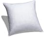 Pinzon Feather And Down 20-By-20-Inch Pillow