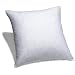 Pinzon Feather And Down 20-By-20-Inch Pillow