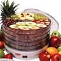 Kidco Back to Basics 5 Tray Food Dehydrator