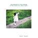 The Wisdom In Your Wings: A Poetic Tribute To Dr. Maya Angelou