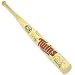 MINNESOTA TWINS PLAYER SIGNATURE MINI WOOD BASEBALL BAT