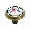Amerock Corp. BP76244-FWB Knob With Ceramic Insert