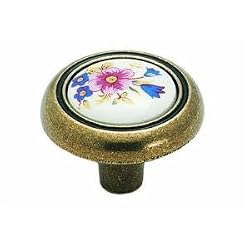 Amerock Corp. BP76244-FWB Knob With Ceramic Insert