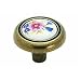 Amerock Corp. BP76244-FWB Knob With Ceramic Insert