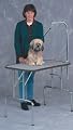Midwest Plywood Grooming Table with Arm  (36