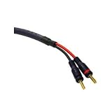 10Ft Velocity Speaker Interconnect 12Awg