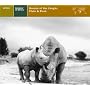 Explorer: Animals of Africa - Sounds of the Jungle, Plain & Bush