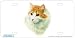 Red & White Long Hair Cat Art Print - License Plate Tag By Robert J. May From Airstrike