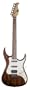 AXL Badwater SRO Electric Guitar, Brown