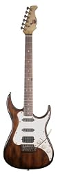 AXL Badwater SRO Electric Guitar, Brown