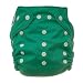 Search Our Specialty Mall : Tiny Tush Elite One-Size Cloth Diaper Snap Kelly Green